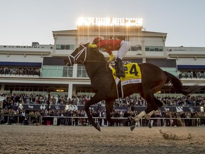 Pletcher Aims For First Dubai World Cup Title